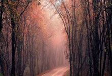 瓦拉内谈离开皇马：当时赢得了一切，想前往英格.