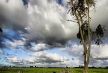 网球中国赛季落幕 郑钦文获珠海超级精英赛亚军央视新闻客户端.