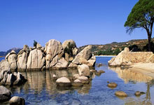 国脚：印尼队肯定不好踢 但这场目标就是全取3分.